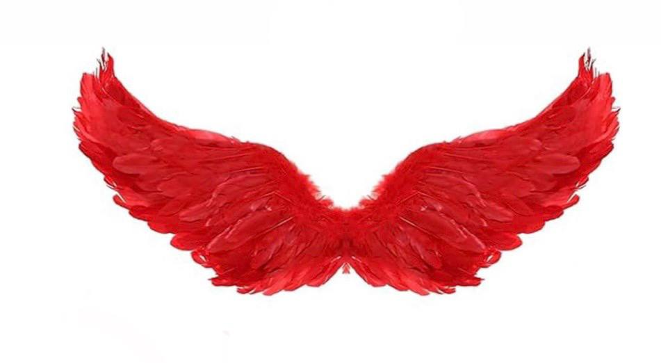 بال شیطان(قرمز دست ساز) 1 بال شیطان(قرمز دست ساز)
