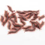 هزارپا رنگ خاكي ژله اي بسته ٣ عددي