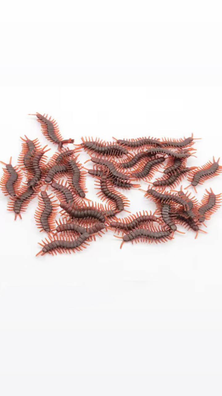 هزارپا رنگ خاكي ژله اي بسته ٣ عددي 1 هزارپا رنگ خاكي ژله اي بسته ٣ عددي